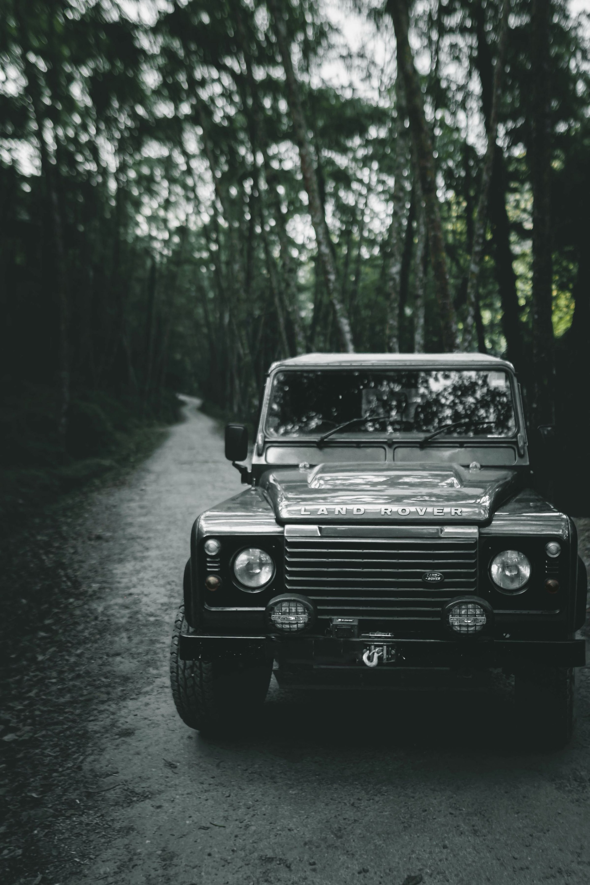 A black Land Rover Defender on a narrow forest road, headlamps towards the camera, under dark trees